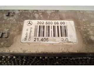 Интеркулер  2025000600   Mercedes-Benz C W202 