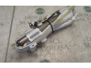 Подушка безопасности двери 1495299080, 1400418980OR   Fiat Ulysse