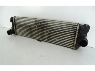 Интеркулер  859270103   BMW 3 G20 G21 