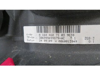 Volant Mercedes-Benz GL X164 2010 A1644607103  
