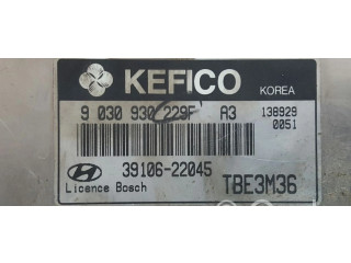 Řídící jednotka 3910622045, 9030930229F   Hyundai Getz 2002