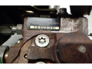 Vstřikovací čerpadlo 9656300380, 0445010102   Peugeot 307    9HY 