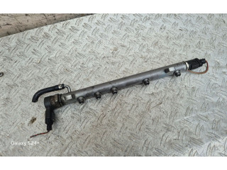 Vstřikovací lišta A6400702595, A6110780449   Mercedes-Benz A W169     