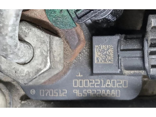 Vstřikovač 9659228880   Peugeot 207 CC     