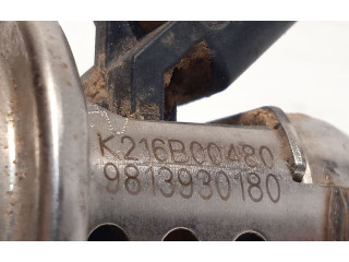 Форсунка 9813930180    Peugeot Rifter  YHZ 