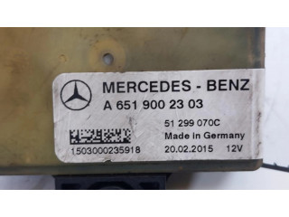 Блок управления двигателя A6519002303   Mercedes-Benz CLS C218 AMG