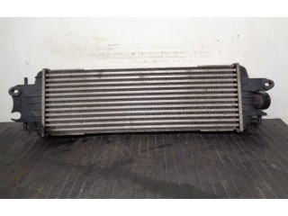 Píst 8200219497, 874869NC   Nissan Primastar    G9UB7 