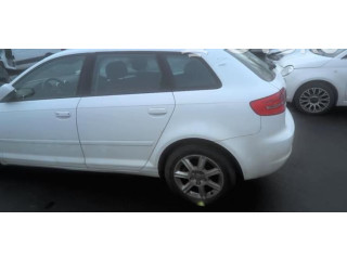 Pojistková skříňka Řídící jednotka BSM 1K0937125D   Audi A3 S3 A3 Sportback 8P 2011