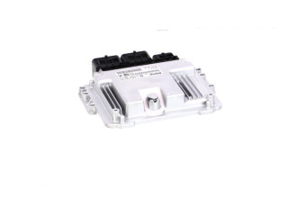 Блок управления двигателя 0261S04008, 0261S04008   Peugeot 207 CC