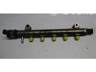 Топливная рампа 0445214106, 96440398   Chevrolet Captiva  