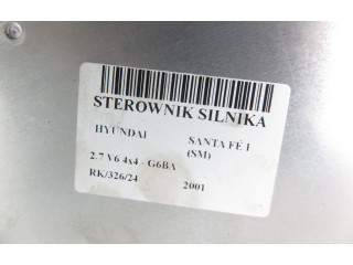 Řídící jednotka 5WY1245B, 3910837500   Hyundai Santa Fe 2001