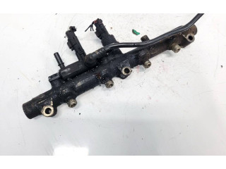 Vstřikovací lišta 0445214017   Lancia Phedra     