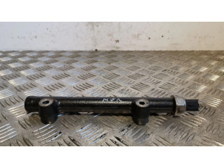 Vstřikovací lišta 28497Z01   Ford Ecosport  pro naftový motor 1.5  