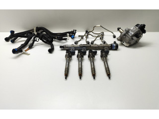 Комплект системы впрыска топлива 0445010768, 8514148    BMW 5 G30 G31  2.00 l / 140 kW (B47O) 