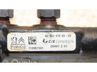 Vstřikovací lišta 9685297580, 9670076780   Ford Focus  pro naftový motor 1.6  