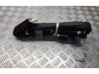 Надувная подушка для крыши     8200105860    Renault Megane II 