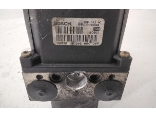 Jednotka ABS 8E0614111AN, 8E0614111AN   Volkswagen PASSAT B5.5 2000
