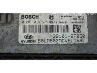 Řídící jednotka 391012F250   Hyundai ix35 2010