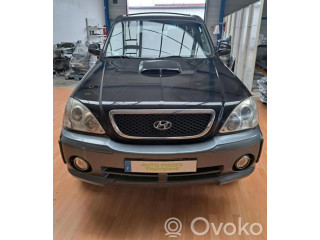 Zpětné zrcátko pravé Hyundai Terracan 2004  87640H1011  