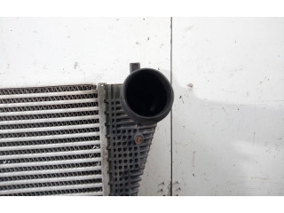 Интеркулер  3C0145805AD, P2-B10-4   Volkswagen Tiguan 