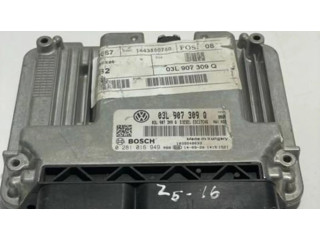 Блок управления двигателя 03L907309Q, 0281016949   Volkswagen Sharan