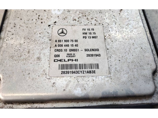 Řídící jednotka A6519007500   Mercedes-Benz CLS C218 X218 2013