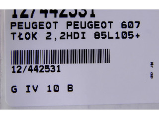  Поршень    Peugeot 607  