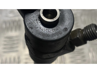 Vstřikovač 0445110064, 3380027010   Hyundai Santa Fe  pro naftový motor 0.0  