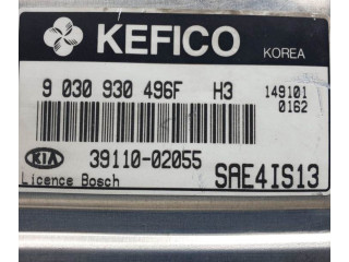 Блок управления 9030930496F   KIA Picanto