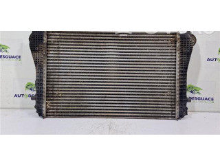 Интеркулер  3C0145805P, N6893002   Volkswagen Tiguan 