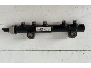 Vstřikovací lišta 968529758002, 8H01   Citroen C3     