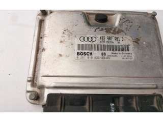 Píst 0281010822, 0281010822 4B2907401J   Audi A6 S6 C4 4A    DEWA 