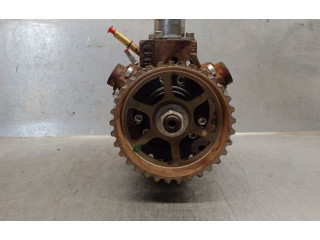 Vstřikovací lišta 8200561664, 0445010148BOSCH   Suzuki Grand Vitara II    F9Q 