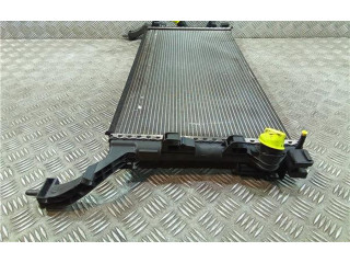 Комплект радиатора 214100004R, H9488    Renault Laguna III