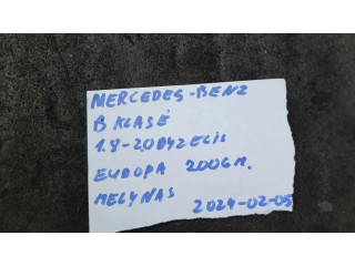 Блок управления климат-контролем 69849212031960, H204S605   Mercedes-Benz B W245