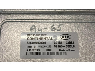 Блок управления двигателя 391B503DL8, 391A503DL8   KIA Niro