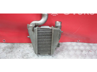 Интеркулер  N22A2, 226829   Honda Civic 