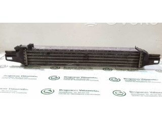 Интеркулер  51790623, L8119001   Peugeot Bipper 