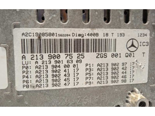 Přístrojová deska  Mercedes-Benz E AMG W210 2019 A2139007525, A2139016309  