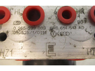 Jednotka ABS 6R0614517AD   Seat Ibiza IV (6J,6P) 2009