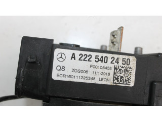   Pojistková skříňka A2225402450   Mercede-Benz S C217 2016