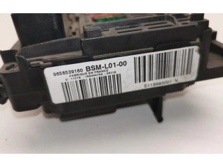   Pojistková skříňka 9658539180   Peugeot 207 CC 
