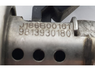 Vstřikovač 9813930180, 9813930180   Peugeot 3008 II    YH01 