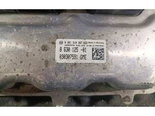 Řídící jednotka 8630125-01   BMW 1 F20 F21 2015