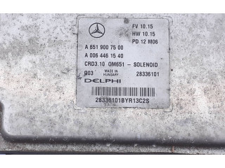 Řídící jednotka A6519007500, A0064461540   Mercedes-Benz CLS C218 X218 2012