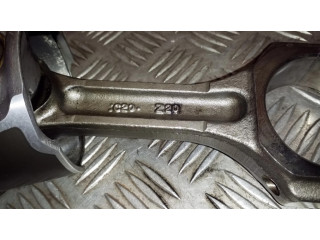 Píst C20Z20, 5520   Chevrolet Captiva  pro naftový motor 2.0  