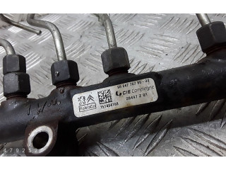 Vstřikovací lišta 98047767800   Ford Fiesta     