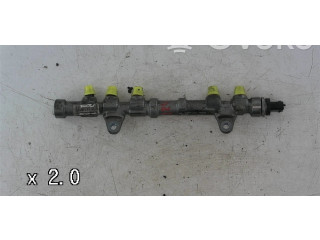 Vstřikovací lišta 0445214217, 55234437   Fiat Punto Evo    199B4.000 