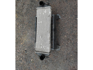 Píst 7700312903, 91166035   Nissan Primastar     