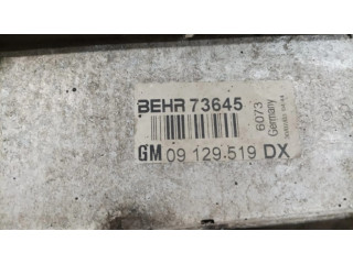 Интеркулер  BEHR73645, 09129519   Opel Astra G 0.0